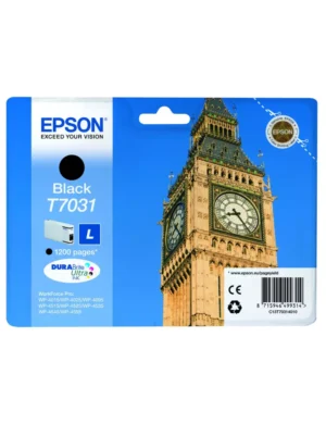 Картридж Epson C13T70314010