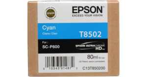 Картридж Epson C13T850200