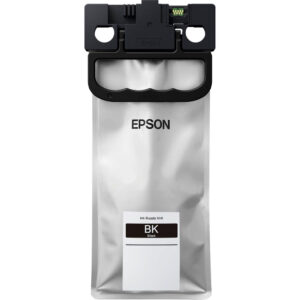 Чернила EPSON C13T01C100