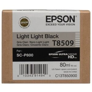 Картридж Epson C13T850900